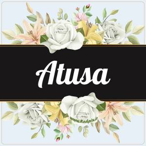 آتوسا به انگلیسی طرح گل سفید atusa
