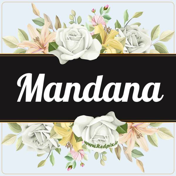 ماندانا به انگلیسی طرح گل سفید mandana