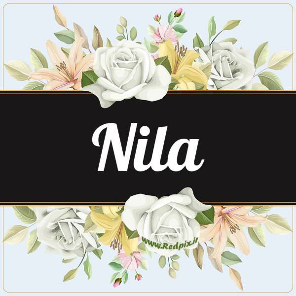 نیلا به انگلیسی طرح گل سفید nila