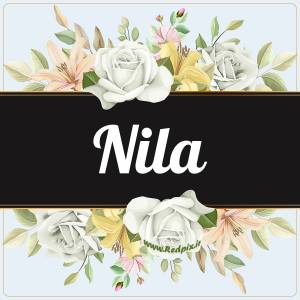 نیلا به انگلیسی طرح گل سفید nila