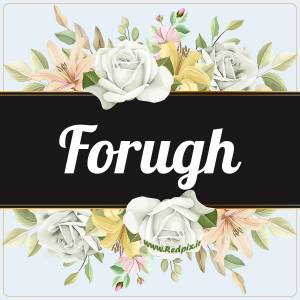 فروغ به انگلیسی طرح گل سفید forugh