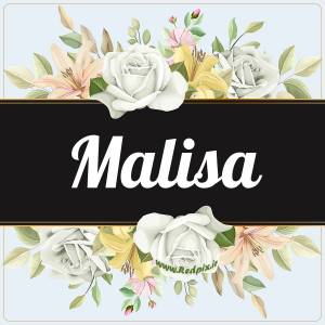 ملیسا به انگلیسی طرح گل سفید malisa