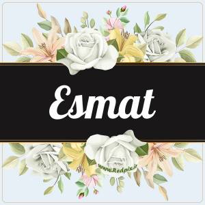 عصمت به انگلیسی طرح گل سفید Esmat