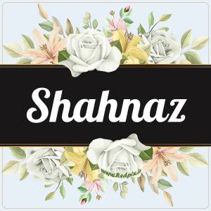 شهناز به انگلیسی طرح گل سفید Shahnaz