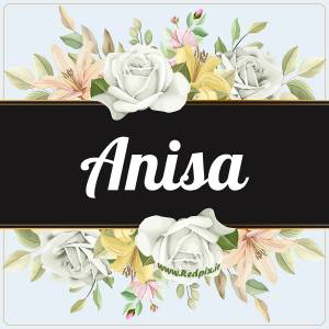 آنیسا به انگلیسی طرح گل سفید anisa