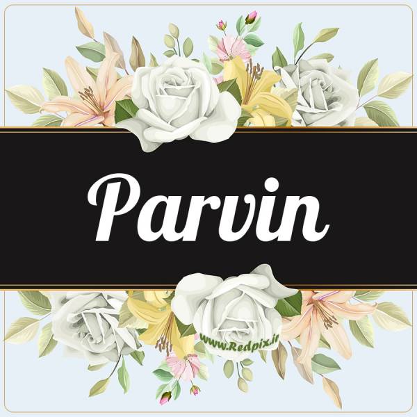 پروین به انگلیسی طرح گل سفید Parvin