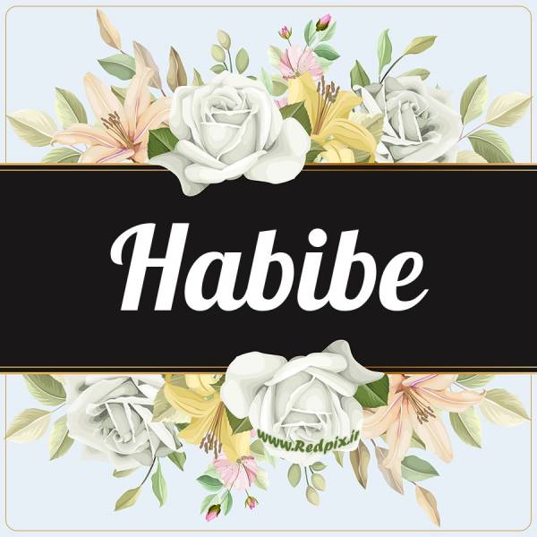 حبیبه به انگلیسی طرح گل سفید habibe
