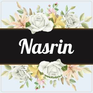 نسرین به انگلیسی طرح گل سفید Nasrin