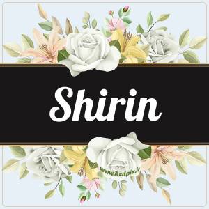 شیرین به انگلیسی طرح گل سفید shirin