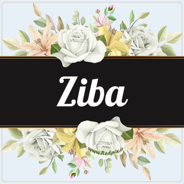زیبا به انگلیسی طرح گل سفید ziba