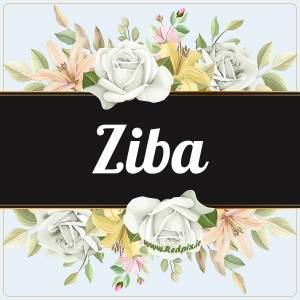 زیبا به انگلیسی طرح گل سفید ziba