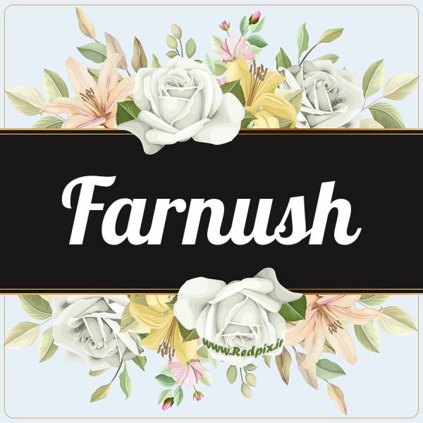 فرنوش به انگلیسی طرح گل سفید farnush