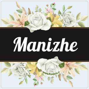 منیژه به انگلیسی طرح گل سفید manizhe