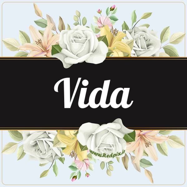 ویدا به انگلیسی طرح گل سفید vida