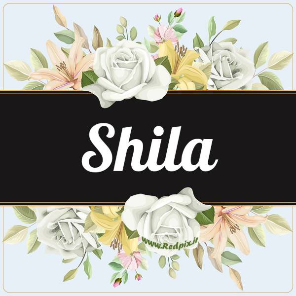 شیلا به انگلیسی طرح گل سفید shila