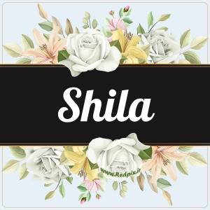شیلا به انگلیسی طرح گل سفید shila