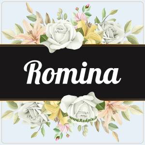 رومینا به انگلیسی طرح گل سفید romina