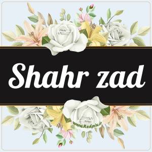 شهرزاد به انگلیسی طرح گل سفید shahr zad